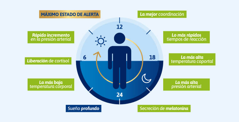 opositar para profesor de Educación Física